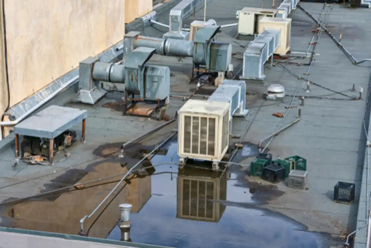 When a leaking roof causes water damage in your home or business, call SERVPRO.