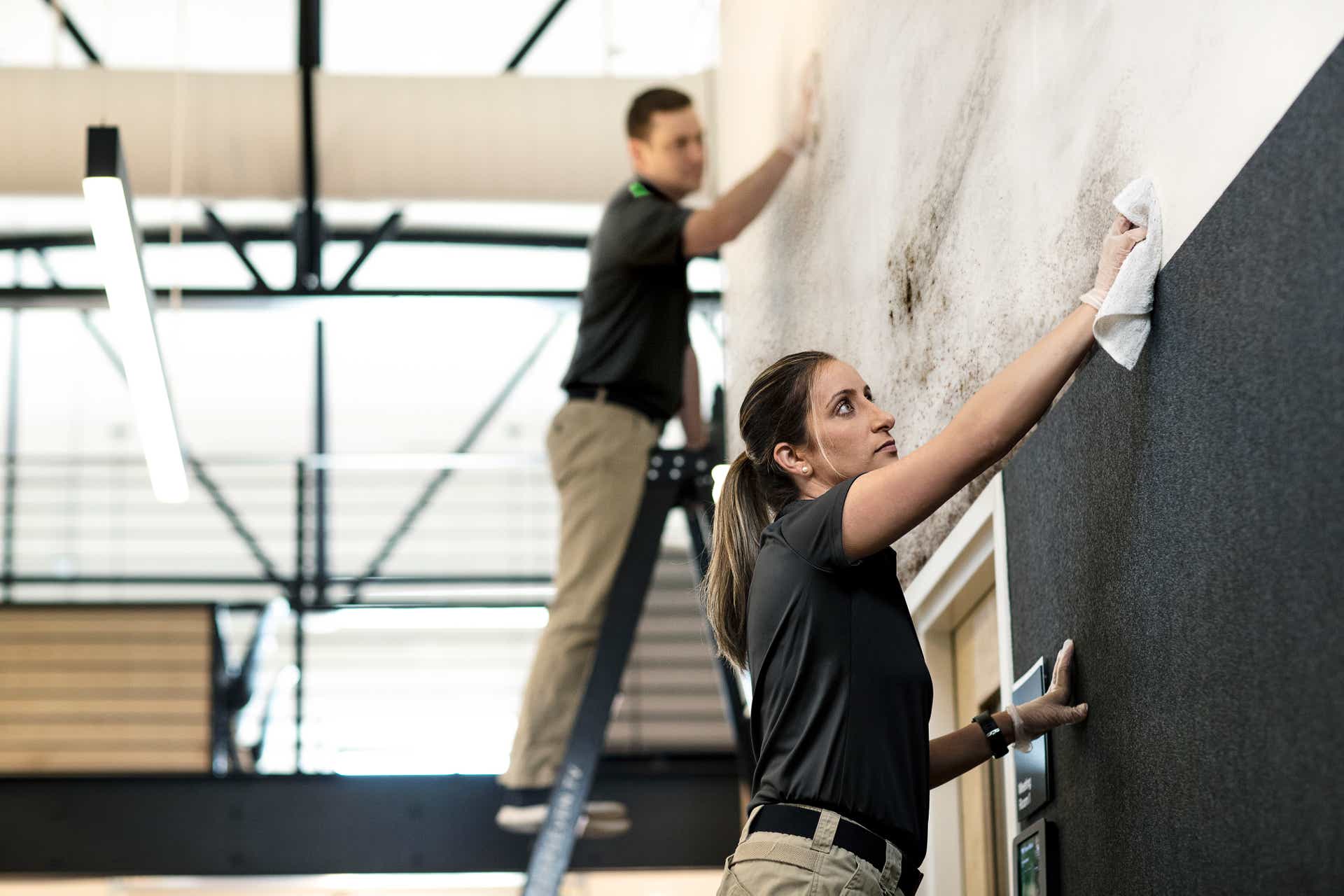 Commercial_Ceilings_Floors_&_Walls_Page.jpg