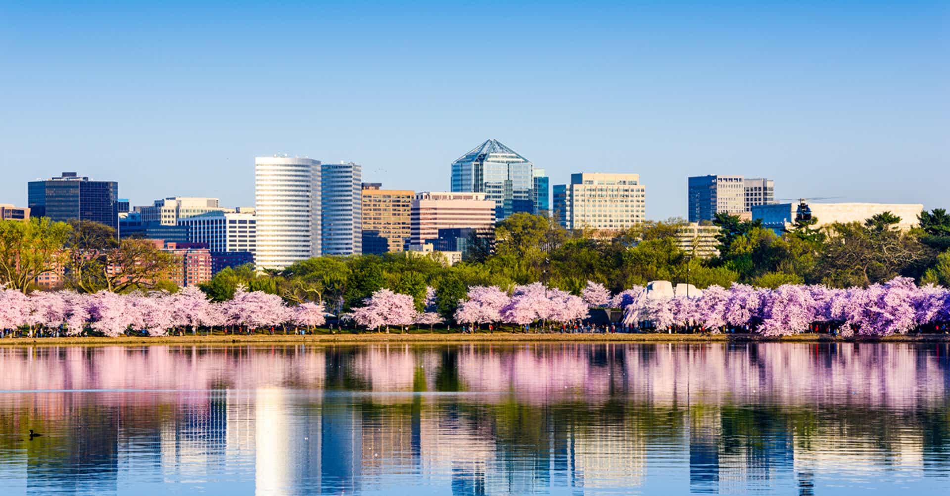 Skyline of Washington DC