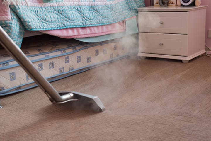 Steam or Shampoo: Which Type of Carpet Cleaning is Best?