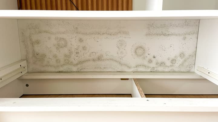 Removing Mold in Kitchen Cabinets & Drawers