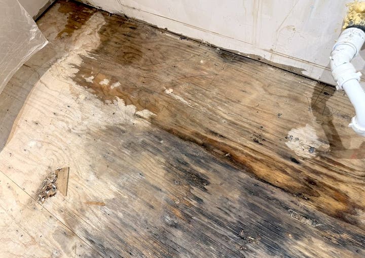 Water Damaged Subfloor Repair