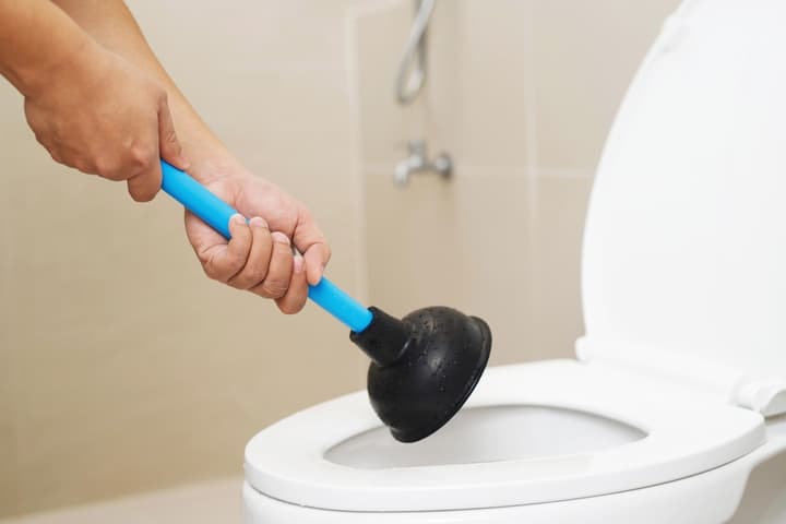 What Is Black Water and How to Clean it Up