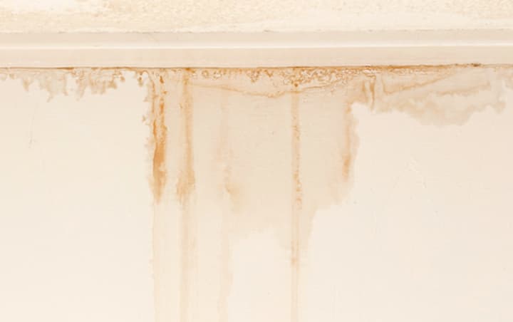Water Stains on Ceilings & Walls: Causes & Solutions