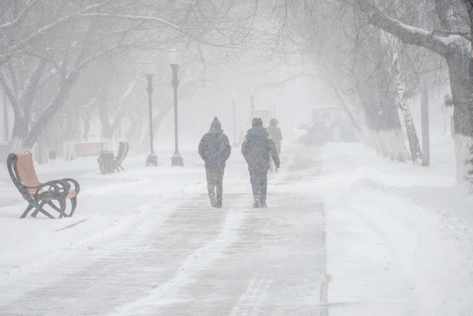 What is Wind Chill and How it Works