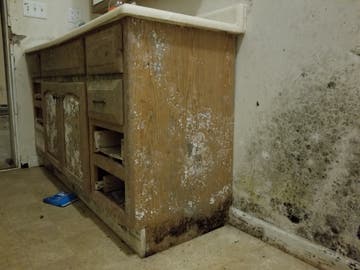 Mold_on_cabinet.jpg