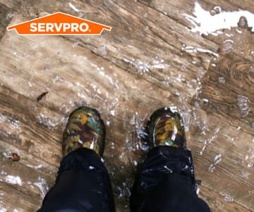 Boots_with_SERVPRO_logo.jpg