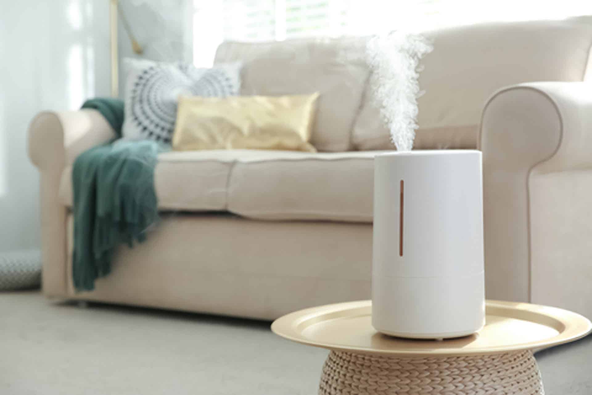 Humidifier Health