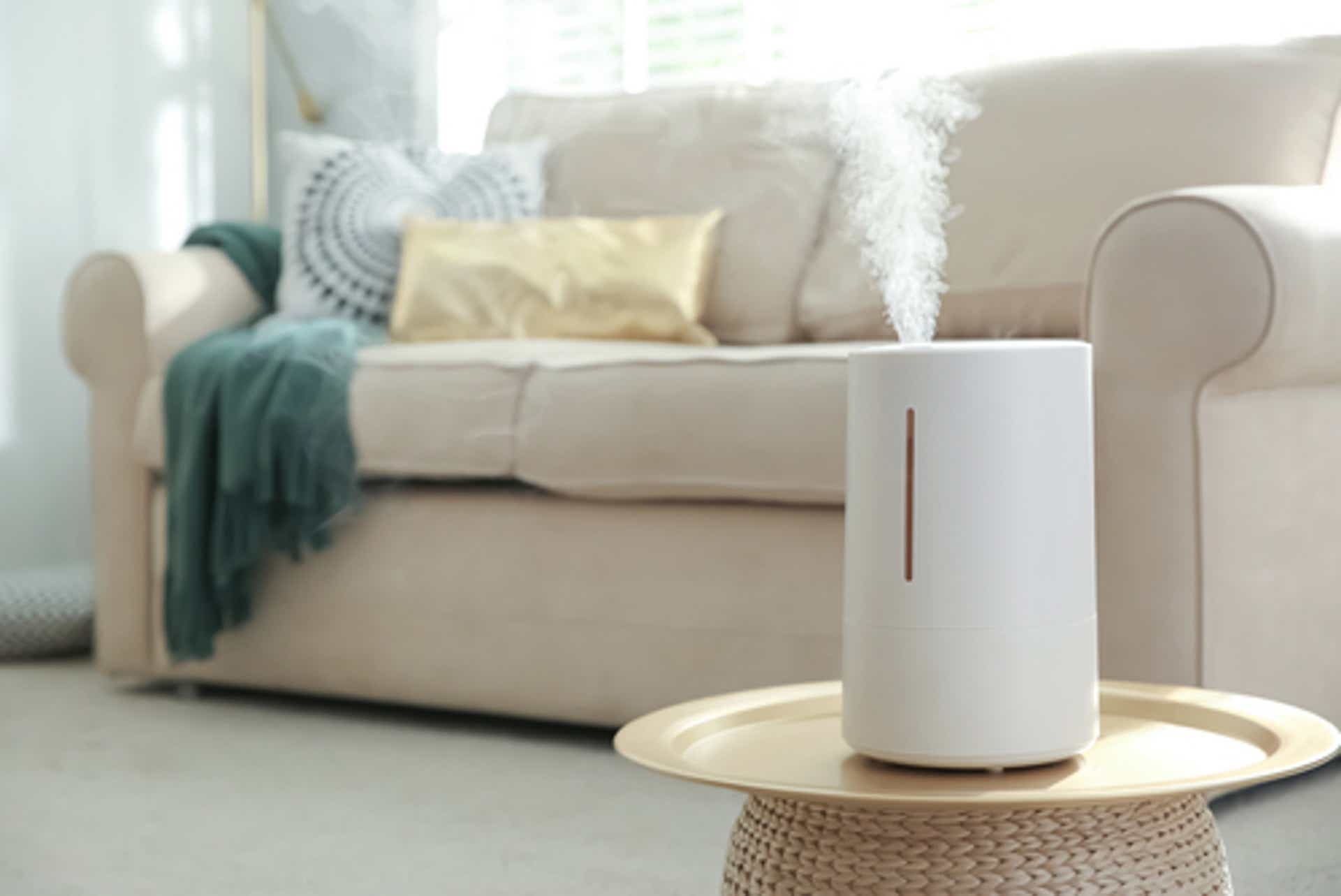 Humidifier Health