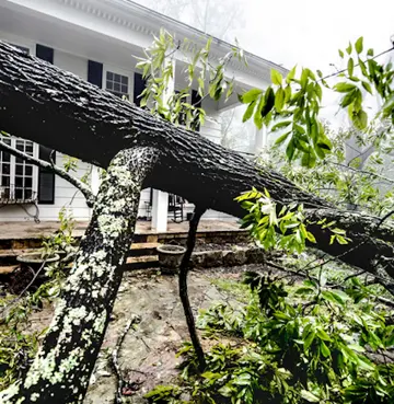 storm-damage.png