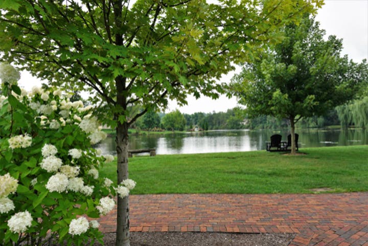 In Canton, Ohio property owners call SERVPRO® when they need water damage restoration near me, storm damage repair, mold remediation, fire damage repair, and commercial construction services with 24-hour emergency services.   