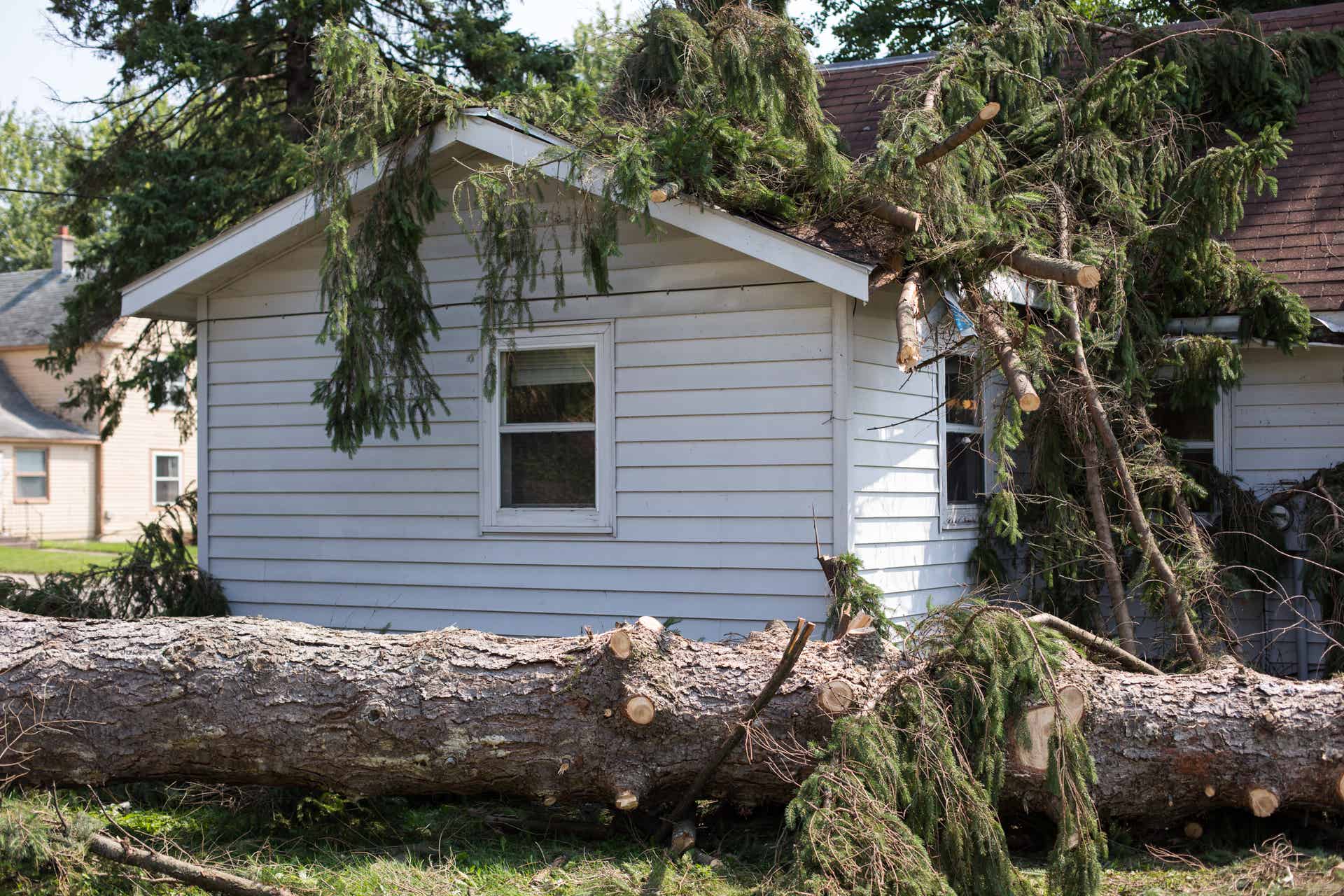 When Storm Damage Strikes, SERVPRO® Storms in to Your Rescue